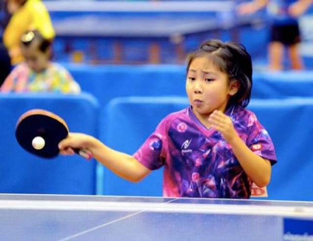 哈德森展示 哈德森展示